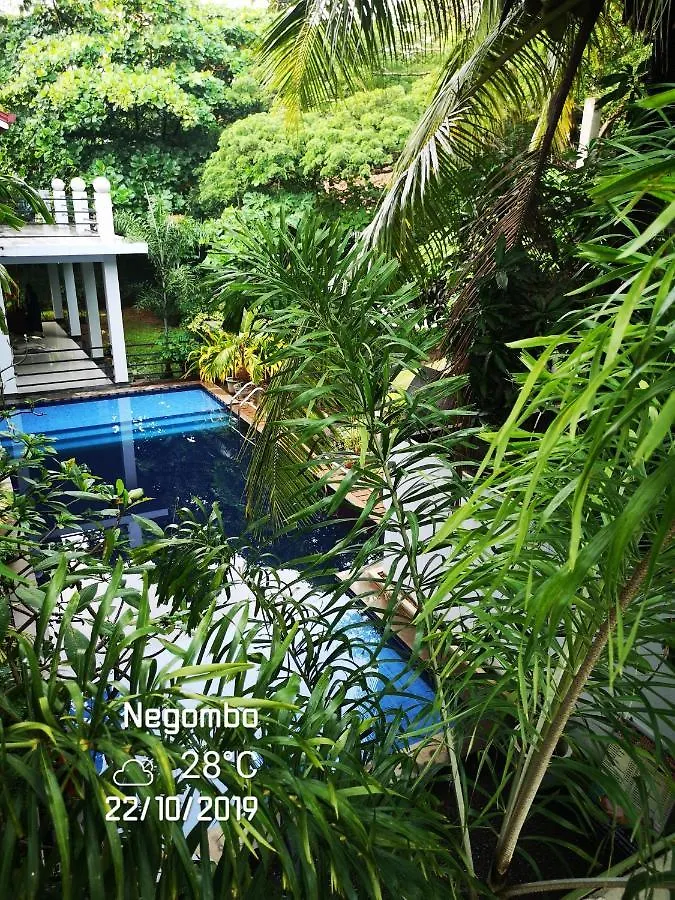 ***  Serendib Village Guest House Negombo Sri Lanka