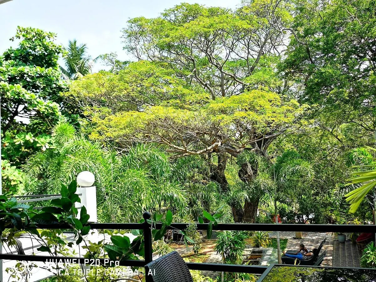Serendib Village Guest House Negombo